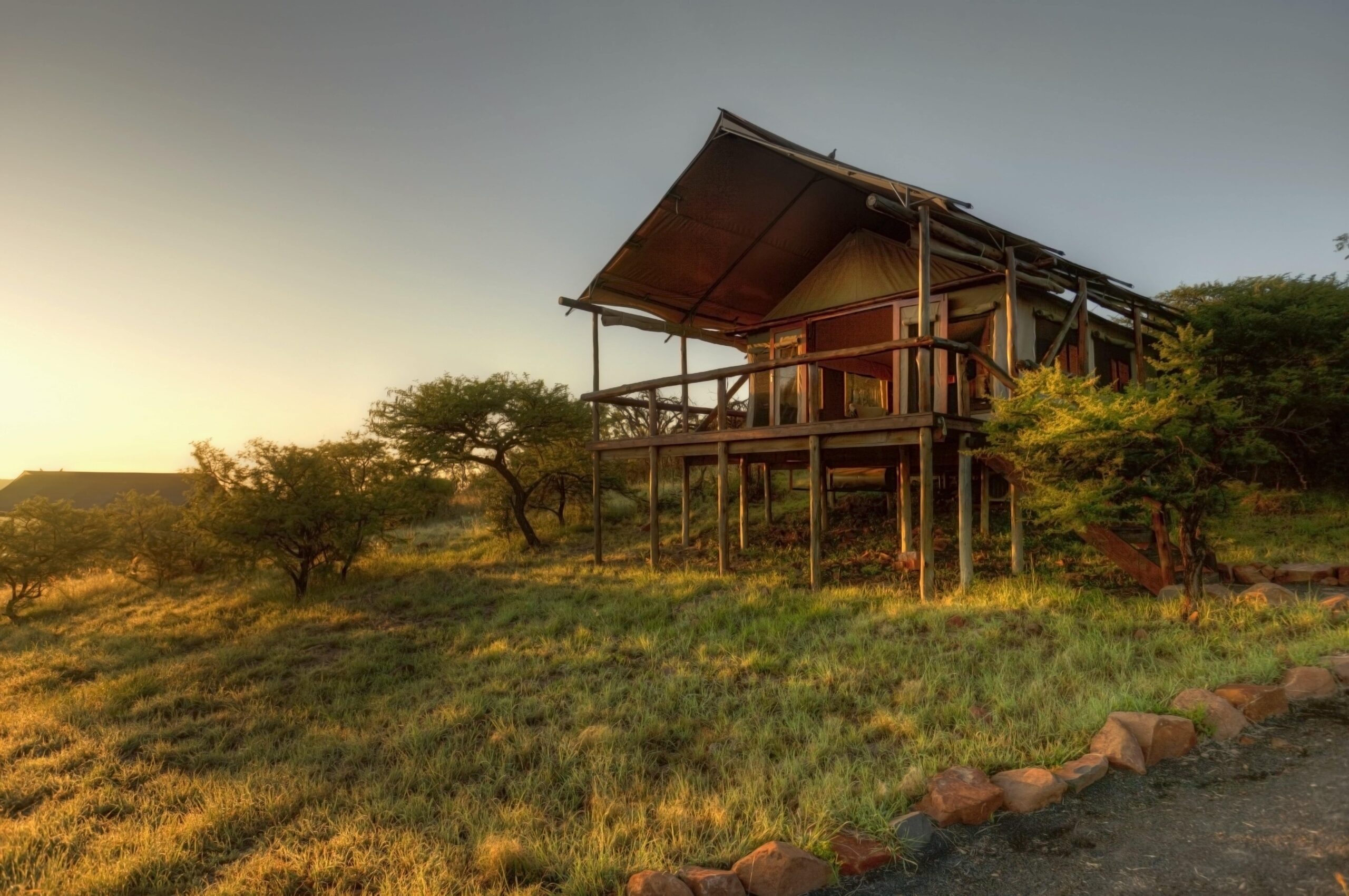 Safari Glamping Tent