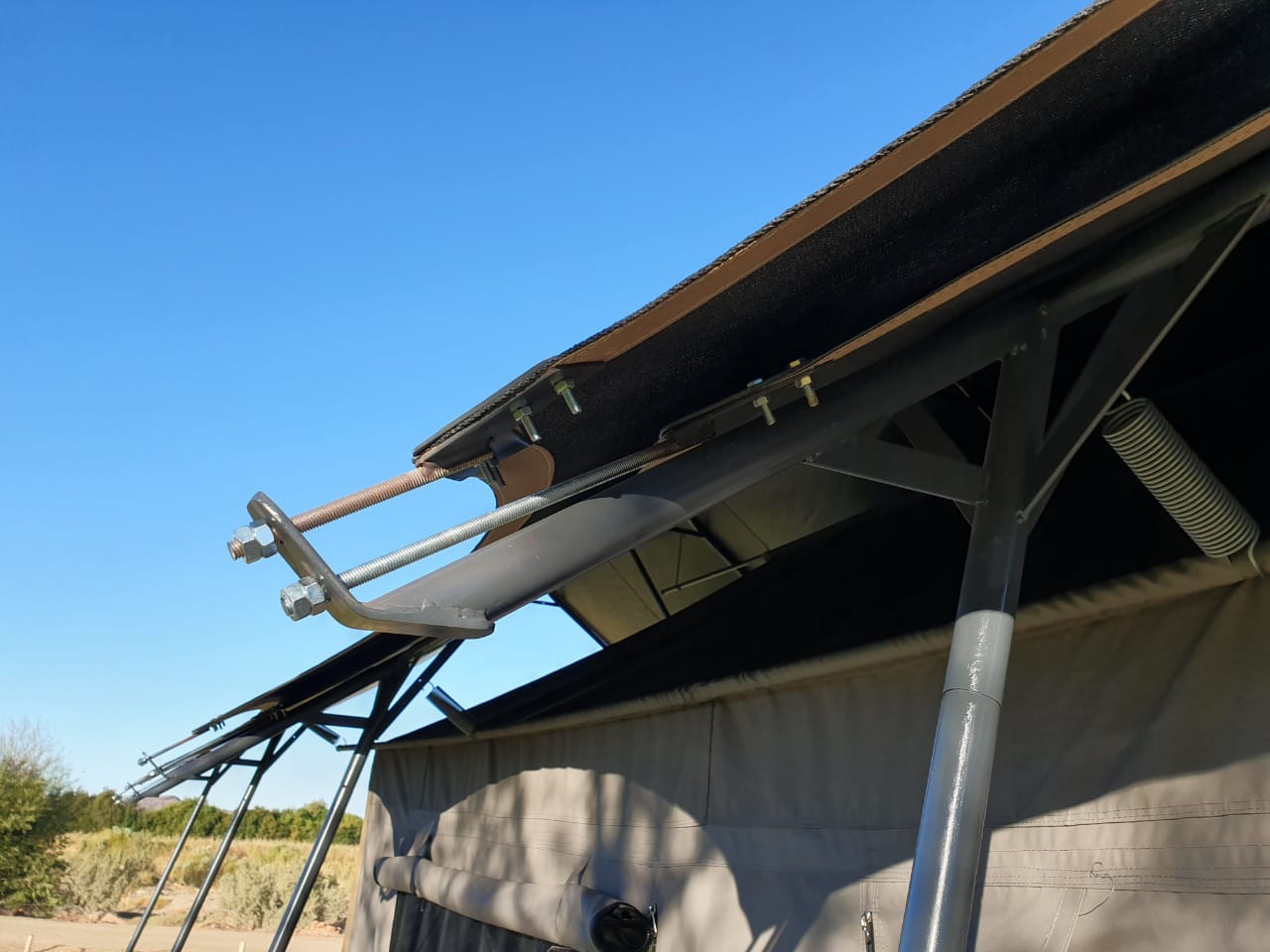 flies Roof Flies